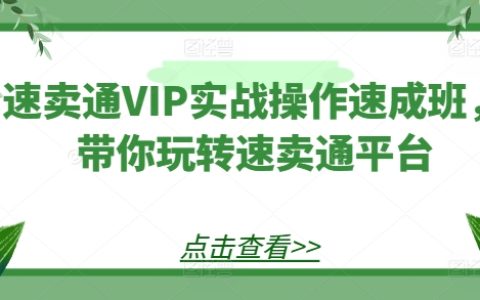 速卖通VIP深度实操课程：掌握速卖通平台运营技巧，快速上手