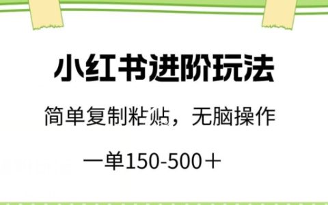 揭秘小红书进阶攻略:单笔利润150-500+,复制粘贴即可,小白上手无忧【破解】