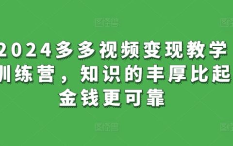 2024年多多视频变现教学训练营：从知识中挖掘财富，铸就稳健收入之路