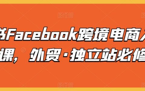 Facebook跨境电商入门必学课:外贸独立站必修,轻松掌握跨境电商运营秘籍