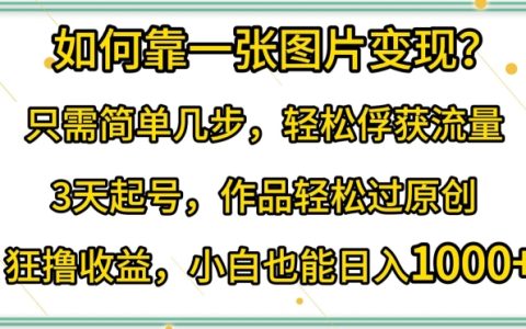 揭秘!一张图片变现技巧,轻松俘获流量,3天起号,作品轻松过原创!
