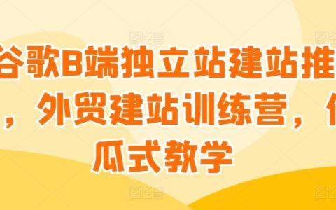 谷歌B2B独立站搭建与推广课程,外贸网站建设训练营,简单易懂教学指南