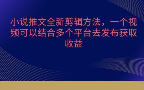 小说推文剪辑新技巧,多平台发布,流量爆棚的秘密【独家揭秘】