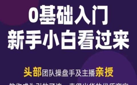 2024新媒体流量变现实操手册:掌握引流卖货技巧,成为卓越商家的指南