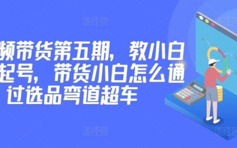 短视频带货新手特训：第五期2980元课程，手把手教你短视频起号与选品技巧，实现弯道超车