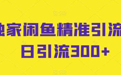 独家闲鱼高效引流技巧，每日轻松吸引300+精准用户【深度剖析】