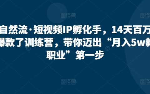 14天短视频IP孵化营：打造月入5万新职业，学习爆款视频制作技巧