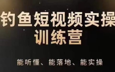 0基础钓鱼短视频运营实操技巧，钓鱼+定位IP策划系统性讲解技巧教程