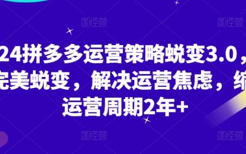 2024拼多多运营策略升级3.0:从新手到专家,解决运营焦虑,缩短运营周期,实现完美蜕变