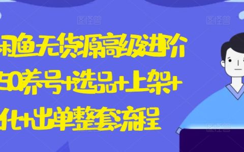 2024年闲鱼无货源卖货高级课程：养号、选品、上架、优化至出单，全方位流程解析【揭秘】