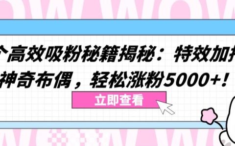 双效吸粉绝招大公开：特效助力与神秘布偶策略，快速增粉5000+【独家曝光】