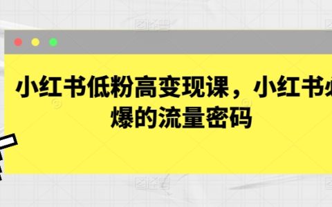 小红书低粉丝高收益课程：揭秘必备流量引爆秘籍