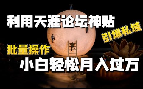 如何利用天涯论坛神贴打造私域流量池,实现批量操作,助力小白月入过万【揭秘】