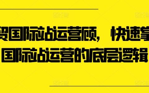 外贸国际站运营快速入门课程:掌握核心运营逻辑,提升业绩技巧【揭秘】