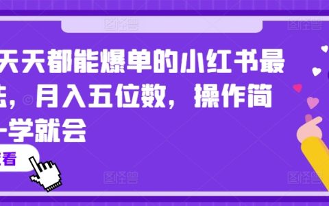 2024小红书高收益玩法揭秘:每日爆单,轻松月入五位数,简单易懂【独家曝光】