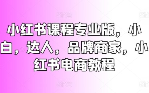 小红书电商运营全攻略：适用于小白、达人和品牌商家的专业教程