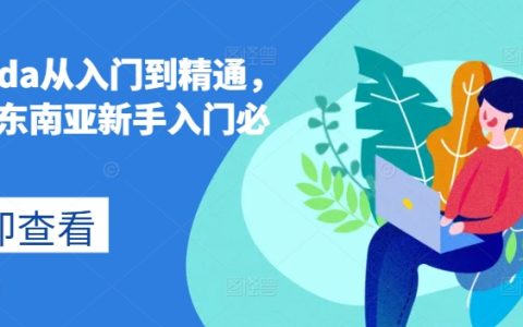 Lazada跨境电商教程：从新手到专家，掌握东南亚市场的完整指导课程