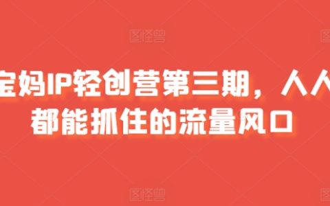 Shopify 独立站进阶课：Facebook 营销，跨境电商秘籍！