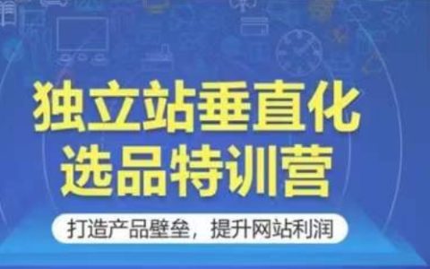 独立站垂直化选品特训营：打造产品壁垒，提升网站利润的实操指南