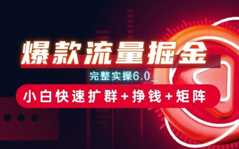流量变现秘籍:6.0实操全解析,小白如何快速扩群、盈利和构建矩阵思维【深度揭秘】