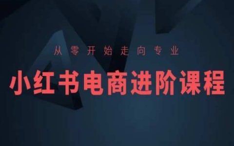 小红书电商进阶：从新手到专业，零基础入门课程