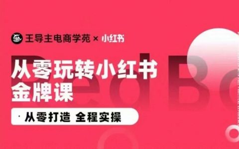 王导主小红书电商实战课程,零基础全程实操教学