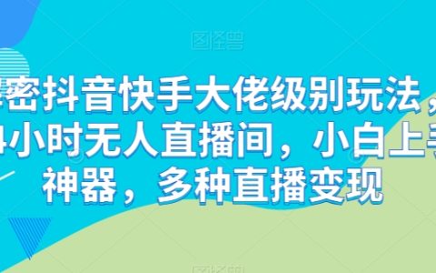 解析抖音快手顶级直播策略：24小时自动化无人直播间，新手简易操作利器，多样化直播盈利模式【深度揭秘】