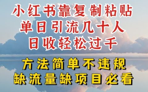 小红书高效引流秘籍：单日引流入数十，日收入轻松破千，简单合规方法大揭秘