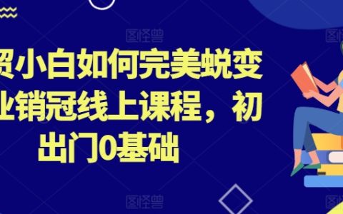 外贸新手到行业销售冠军：0基础线上转型课程，实现完美蜕变【详解成功之路】