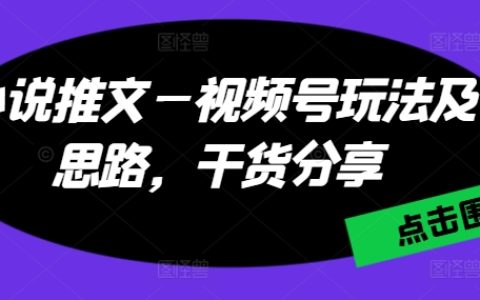 小说推广短视频：视频号营销策略与创新思路，实用技巧大公开【解析成功案例】