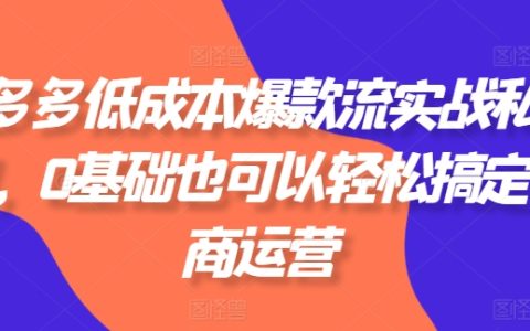 拼多多低成本爆款实战私教课：0基础也能轻松玩转电商运营，独家秘籍等你来学！