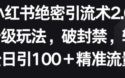 小红书独家引流技巧2.0升级策略,突破限制,每日轻松吸引100+精准流量【深度解析】