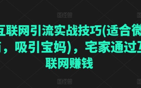 微商互联网引流实操攻略：专为宝妈打造的在家赚钱技巧