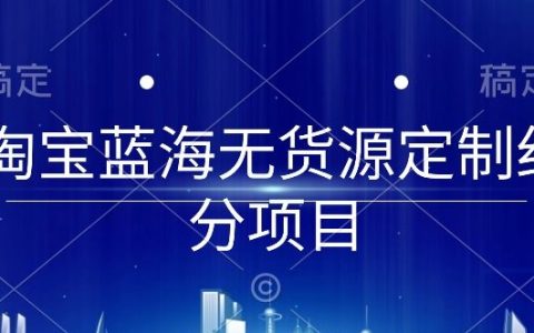 淘宝蓝海市场无货源定制项目解析，0基础到店铺实操全程指南【深度揭秘】