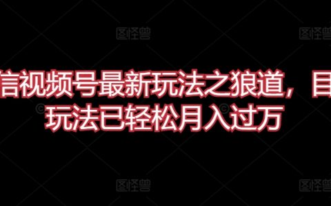 微信视频号狼道玩法揭秘：最新策略助你轻松月入过万