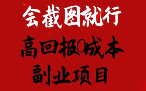 0成本副业赚钱揭秘：只需截图技能，离婚模板销售日入1500+的高回报项目