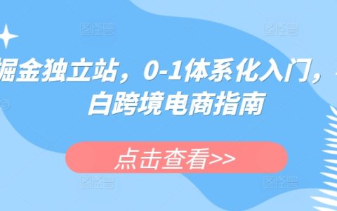 掘金独立站入门到精通：跨境电商小白指南，系统化学习路径【揭秘】
