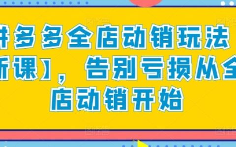 拼多多全店动销策略【最新课程】，实现盈利：从全店动销入手告别亏损