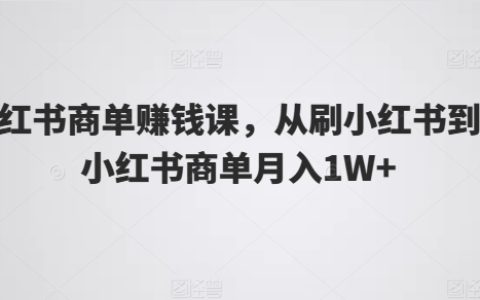 小红书赚钱实战课程:从刷粉到商业变现月入1W+的全攻略