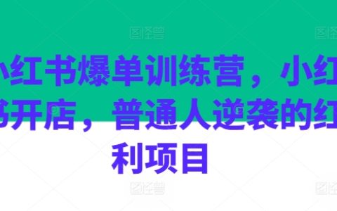 小红书爆款店铺培训:普通人翻盘的红利机会,开店成功秘诀大公开