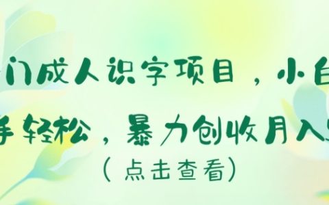 揭秘冷门市场：成人识字教学项目，小白也可轻松上手，实现月入5万+的暴力收入