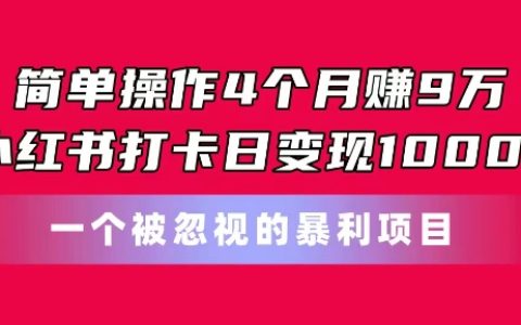 简单操作4个月赚9w,小红书日变现秘籍,揭秘被忽视的暴利项目!