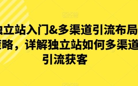 独立站引流入门&多渠道布局策略：深度解析独立站如何实现多渠道引流获客【揭秘】