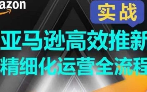 亚马逊新品推广精细化操作全程指导:全面、快速提升产品排名和销售量【揭秘】