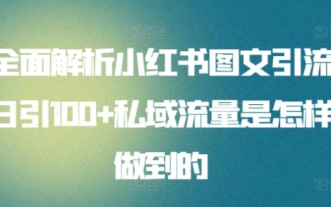 揭秘小红书图文引流秘籍:日引100+私域流量是如何炼成的?全方位解析!