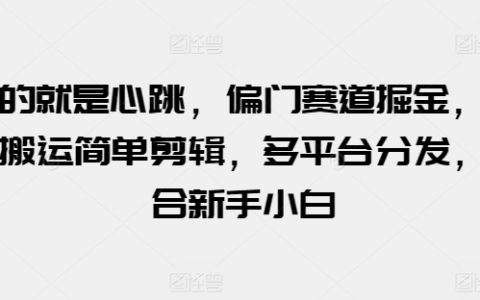 探索心跳体验：偏门掘金赛道，视频搬运与剪辑技巧，多平台内容分发，适合初学者小白【揭秘】