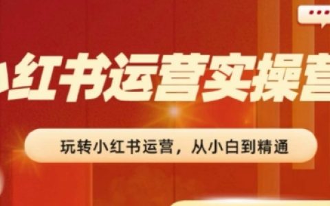 2024年小红书运营实战营：从新手到专家的成长路径，实现0到1再到100的飞跃