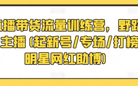 直播带货流量训练营：从野路主播到专业起号，专场，打榜，明星网红助播，全方位提升带货能力！