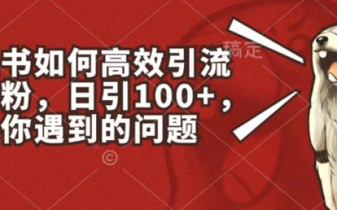 小红书引流创业粉秘籍:揭秘高效引流的秘密,每天轻松吸粉100+
