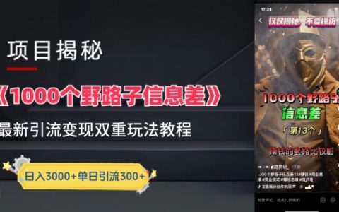 揭秘一千个野路子信息差新玩法：教程指导变现+引流具体策略，实现盈利最大化！